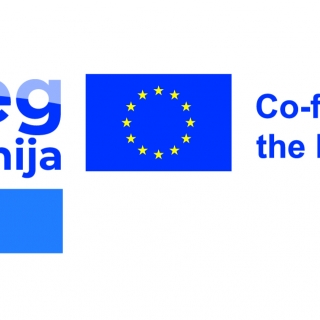 Gasilska enota Nova Gorica