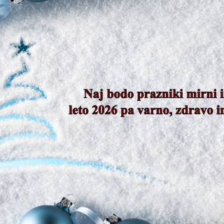 Gasilska enota Nova Gorica